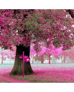 Vernal Bloom  Computer Printed Photography Backdrop S-038