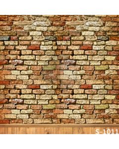 Ancient Brick Wall Computer Printed Photography Backdrop S-1011