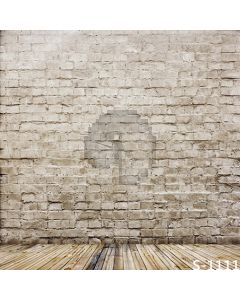 Pale Brick Wall Computer Printed Photography Backdrop S-1111