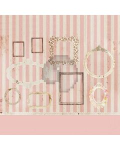 Cute Photo Frame Computer Printed Photography Backdrop S-1202