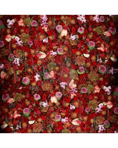 Beautiful Flower Computer Printed Photography Backdrop S-1368