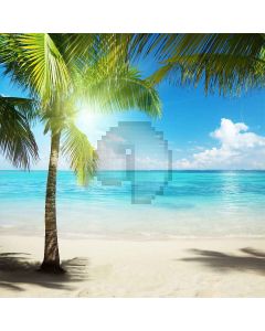Growing Coconut Trees Computer Printed Photography Backdrop S-163