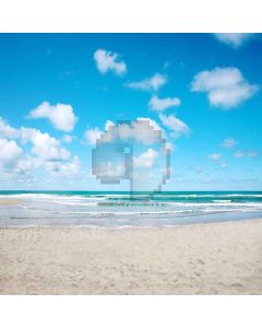 Intoxicated Sea Computer Printed Photography Backdrop S-164