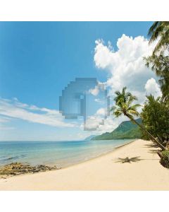 Tropical Zone  Computer Printed Photography Backdrop S-165