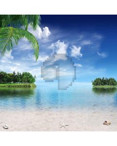 Soft Beach Computer Printed Photography Backdrop S-166