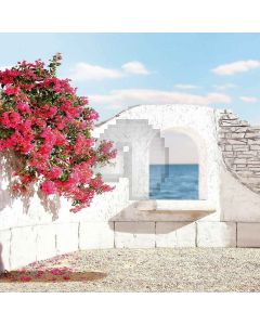 Cloudless Sky  Computer Printed Photography Backdrop S-171
