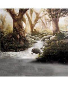 Brook In Forest Computer Printed Photography Backdrop S-1744