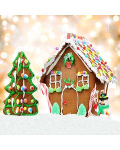 Ginger House Computer Printed Photography Backdrop S-1764
