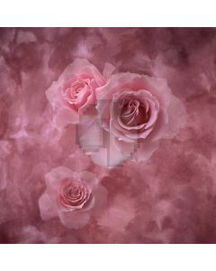 Romantic Roses Computer Printed Photography Backdrop S-1769