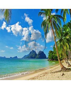 Amazing Sea Views Computer Printed Photography Backdrop S-177
