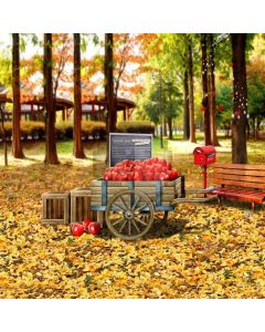 Happy Autumn Computer Printed Photography Backdrop S-1780
