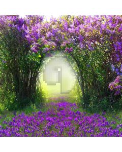 Mysterious Garden Computer Printed Photography Backdrop S-1787