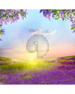 Happy Flower Computer Printed Photography Backdrop S-1788