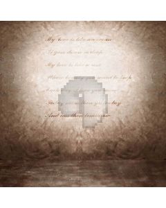 Love Wall Computer Printed Photography Backdrop S-1802