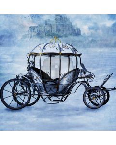 Elegant Carriage Computer Printed Photography Backdrop S-1820