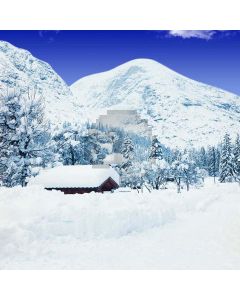Snowy Mountains Computer Printed Photography Backdrop S-1829