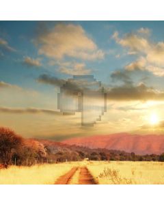 Autumn Street Computer Printed Photography Backdrop S-1854