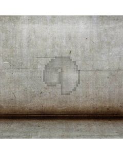 Plain Wall Computer Printed Photography Backdrop S-1857
