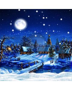 Snowy Night Computer Printed Photography Backdrop S-187