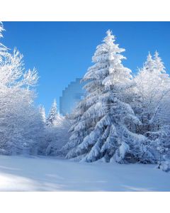 Icy Tree Computer Printed Photography Backdrop S-1887