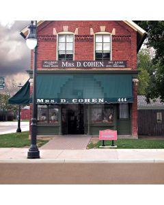 Streetscape Computer Printed Photography Backdrop S-1939