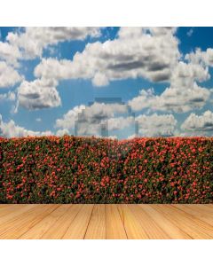 Garden Computer Printed Photography Backdrop S-1968