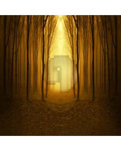 Dark Forest Computer Printed Photography Backdrop S-1982