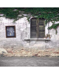 Cute Window Computer Printed Photography Backdrop S-1990