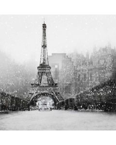 Eiffel Tower Computer Printed Photography Backdrop S-1996