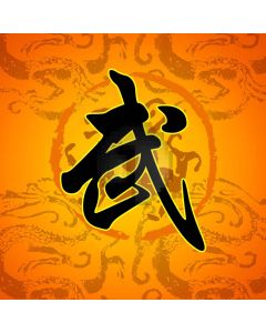 Kung Fu Computer Printed Photography Backdrop S-1998