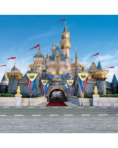 Nice Castle Computer Printed Photography Backdrop S-201
