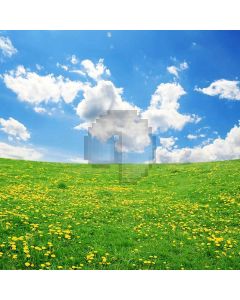 Wild Flowers Computer Printed Photography Backdrop S-209