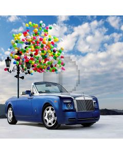 Various Balloons Computer Printed Photography Backdrop S-212