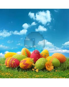 Childlike Painted Eggs  Computer Printed Photography Backdrop S-240