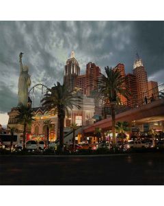 Liberty City  Computer Printed Photography Backdrop S-255