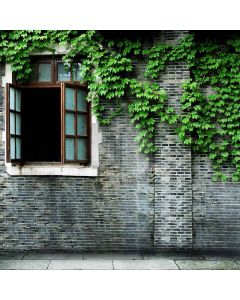 Climbing Plants Computer Printed Photography Backdrop S-259