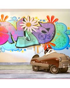 Uninhibited  Colorful  Computer Printed Photography Backdrop S-298