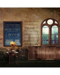 Arched Window Computer Printed Photography Backdrop S-307