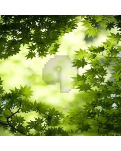 Lush Foliage Computer Printed Photography Backdrop S-403