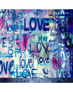 Letters Graffiti Wall Computer Printed Photography Backdrop S-470