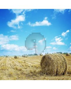 Field Harvest Scene Computer Printed Photography Backdrop S-494