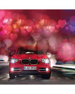 Full Love Car  Computer Printed Photography Backdrop S-502