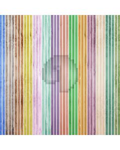 Colored Wood Computer Printed Photography Backdrop S-524