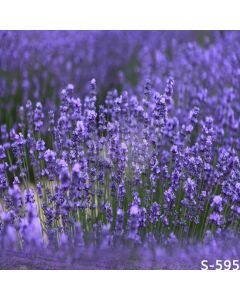 Cute Lavender Computer Printed Photography Backdrop S-595