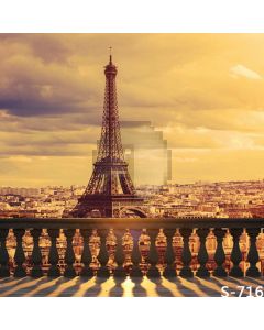 Twilight Eiffel Tower Computer Printed Photography Backdrop S-716