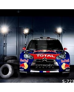 Fancy Car Computer Printed Photography Backdrop S-723