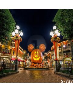 Mickey Pumpkin Computer Printed Photography Backdrop S-737