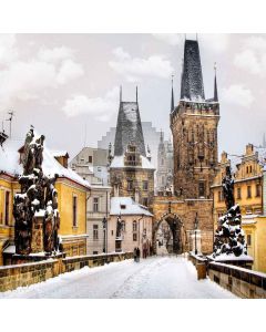 Snowy Building Computer Printed Photography Backdrop XLX-035