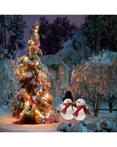 Two Cute Snowman  Computer Printed Photography Backdrop XLX-040