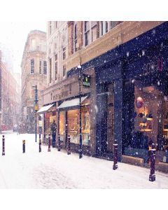 Romantic And Beautiful Scenes  Computer Printed Photography Backdrop XLX-047